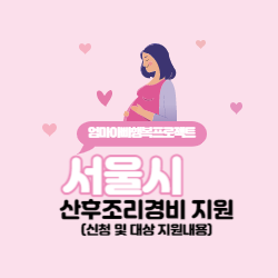 서울시 산후조리 경비 지원 신청 및 대상 지원내용(9월 1일부터) 썸네일